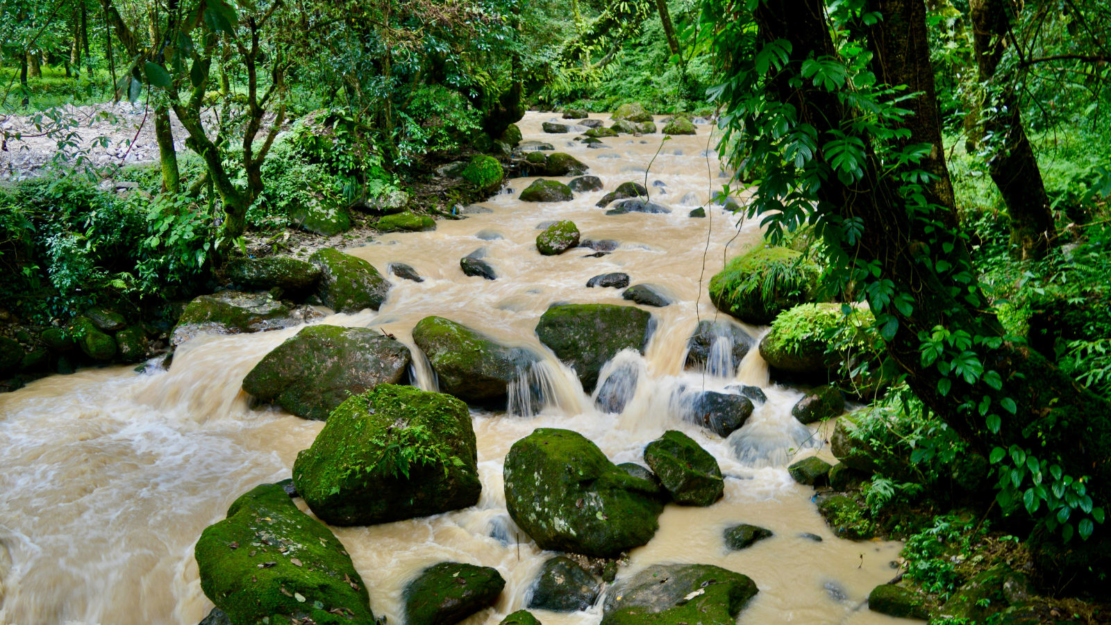 10 Best Natural Places to Visit in Kathmandu